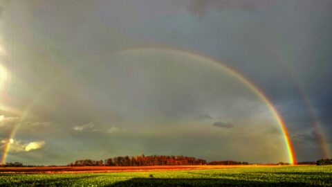 Watching Rainbows