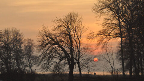 Ring der Kraft vom 28.4.25